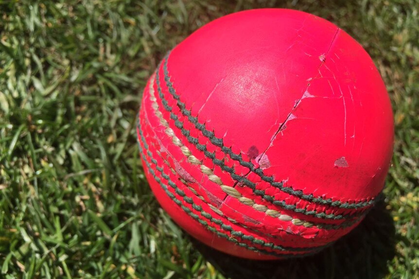 Pink cricket ball to be used in Sheffield Shield opener