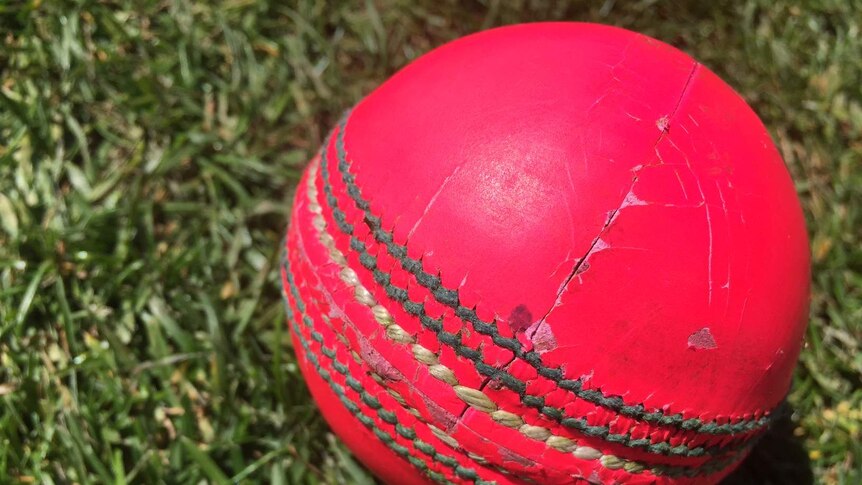 Pink cricket ball to be used in Sheffield Shield opener