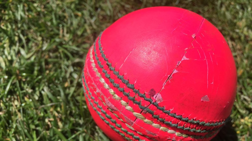 A pink cricket ball on grass
