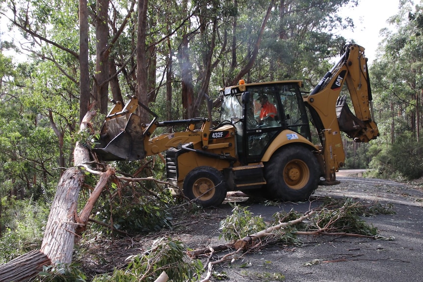 A loader removes fallen trees from a road 