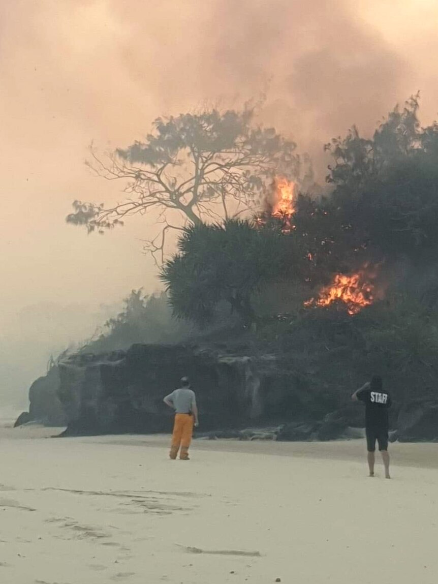 Fire burns near a beach as two people look on