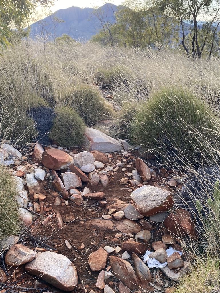 Australian scrub with rocks in foreground and a clump of toilet paper under a rock.