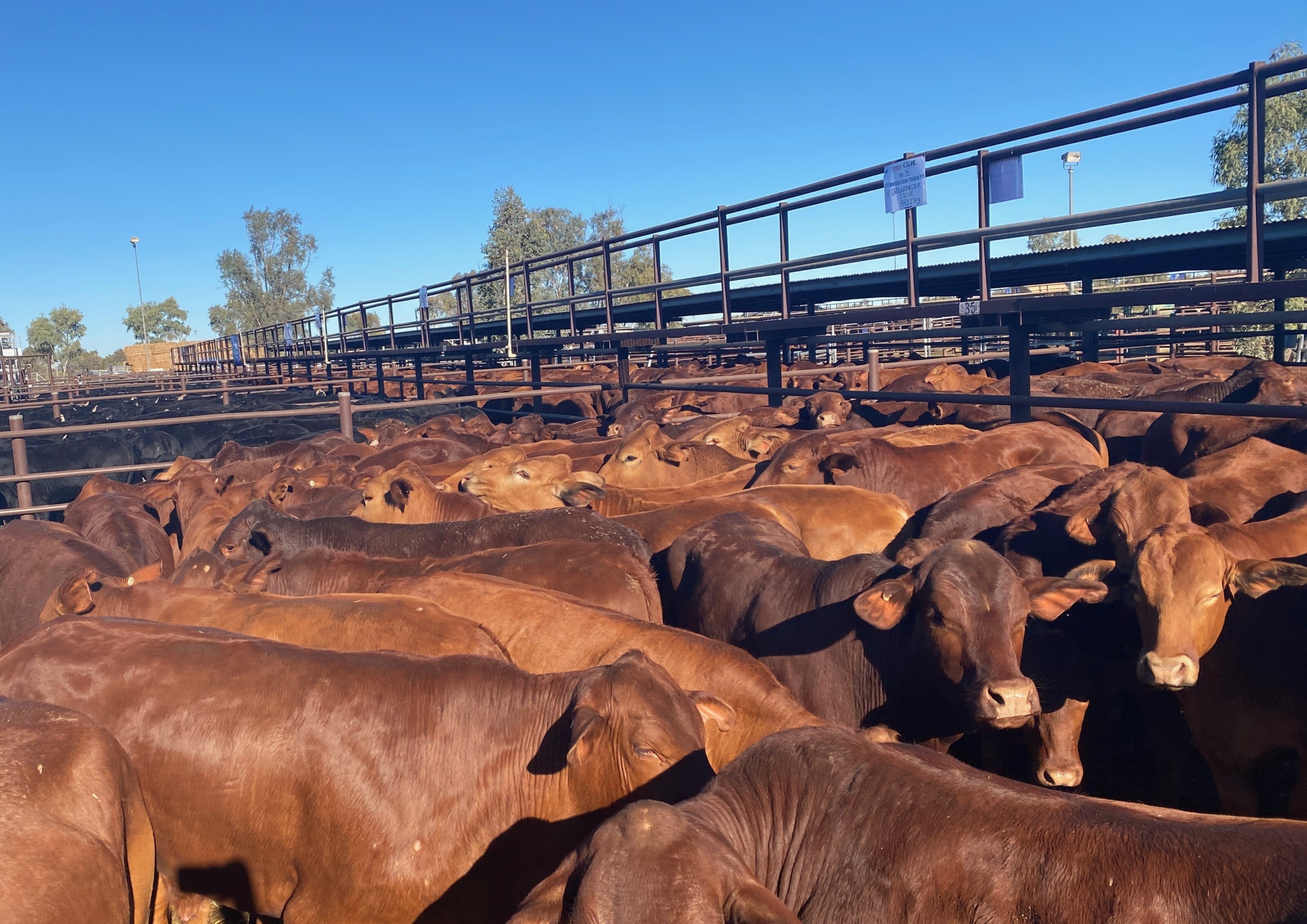 NT Country Hour - ABC listen