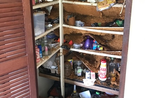 Colin Ridgway's pantry