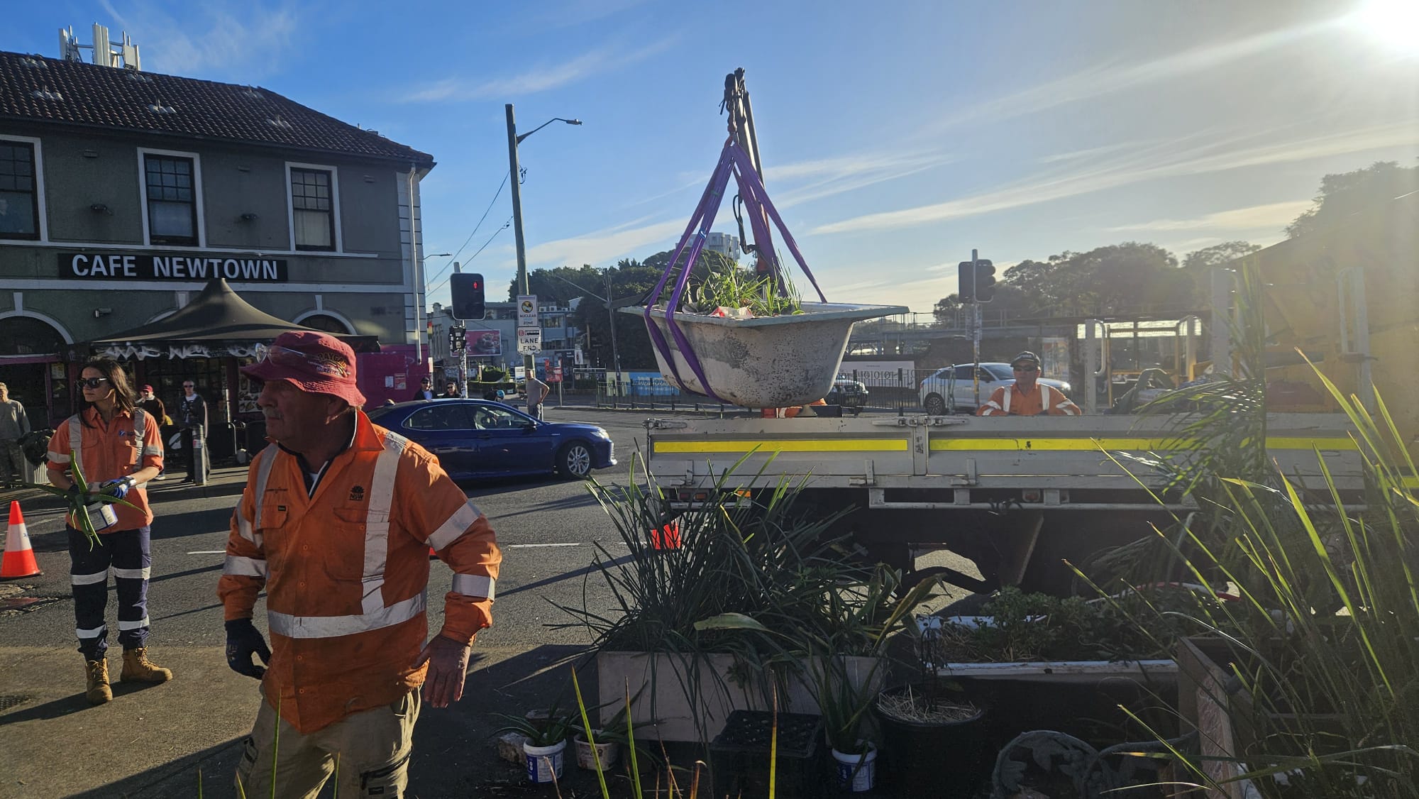 Guerilla garden removed from Sydney intersection dubbed 'triangle of shame'
