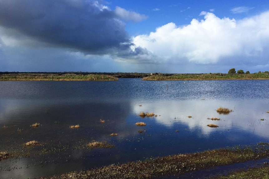 A lake with patches of grass growing though under a cloudy sky.