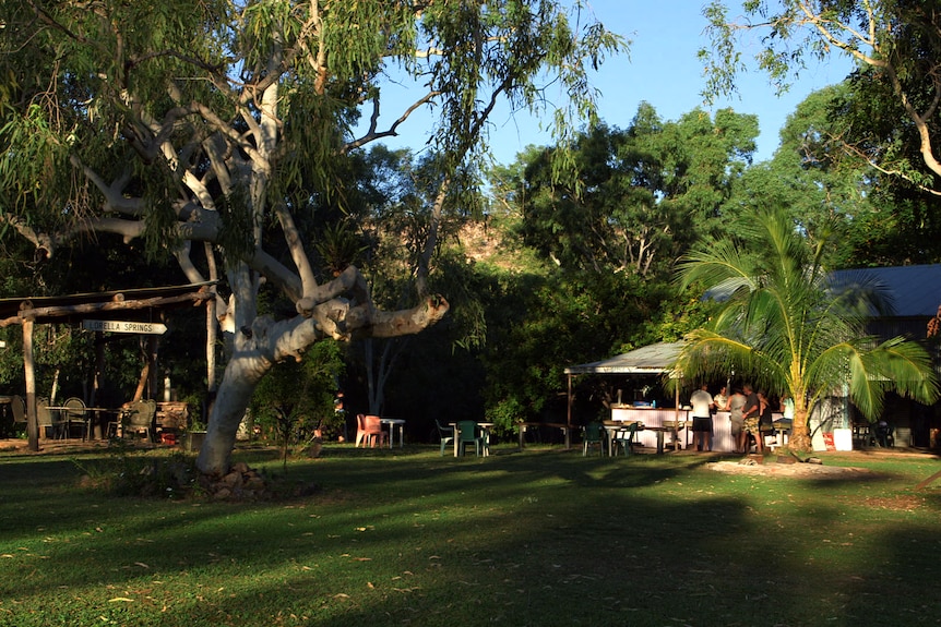 an outback bar surrounded by palm trees and shrubs