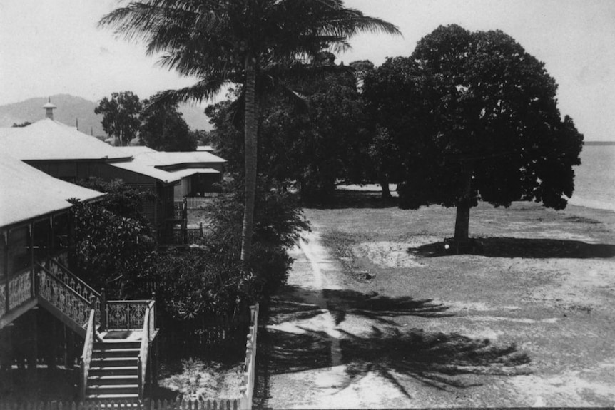 Houses overlooking the Esplanade in Cairns photographed around 1903.