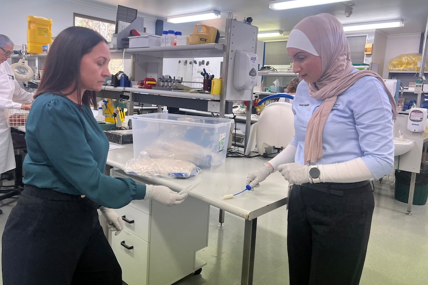 Two women wear gloves while working in a science lab