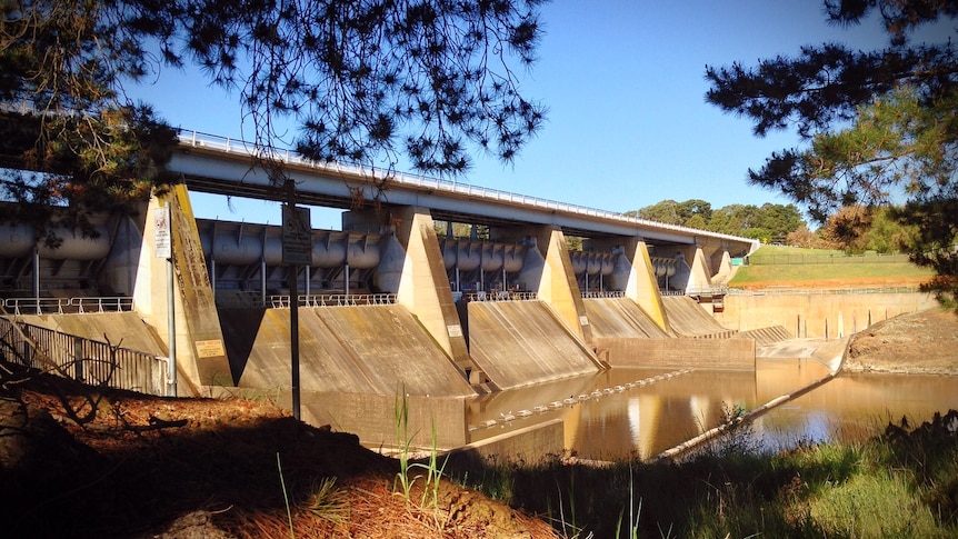 The level of Lake Burley Griffin was lowered to allow for repair work on Scrivener Dam.
