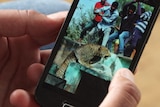 A person looks at a video on their phone of men preparing to attack a leopard.