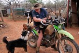 Peter Lucas sits on a motorbike with his three border collie dogs.