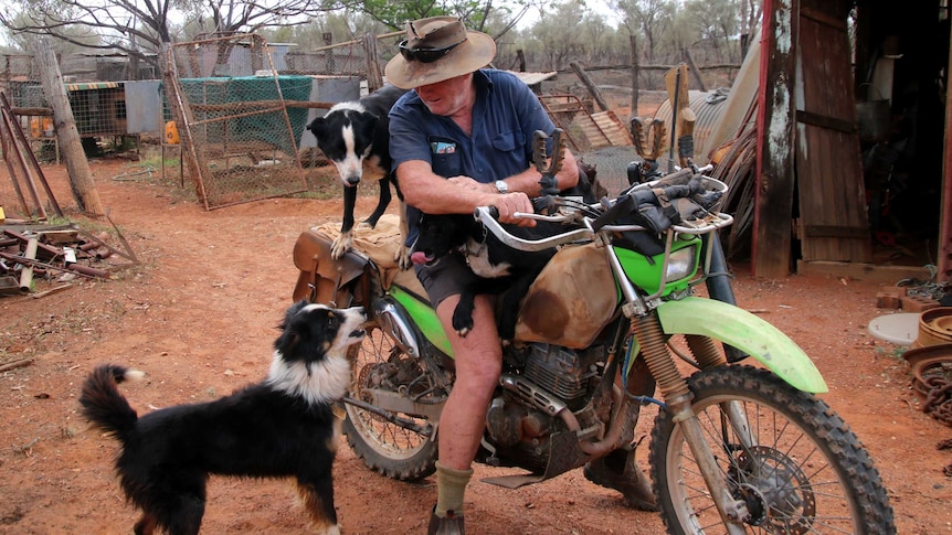 Peter Lucas sits on a motorbike with his three border collie dogs.