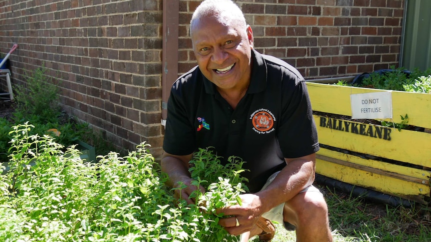 A man wearing a black polo t-shirt is kneeling next to a garden bed, smiling and holding the leaves of a plant in the garden.