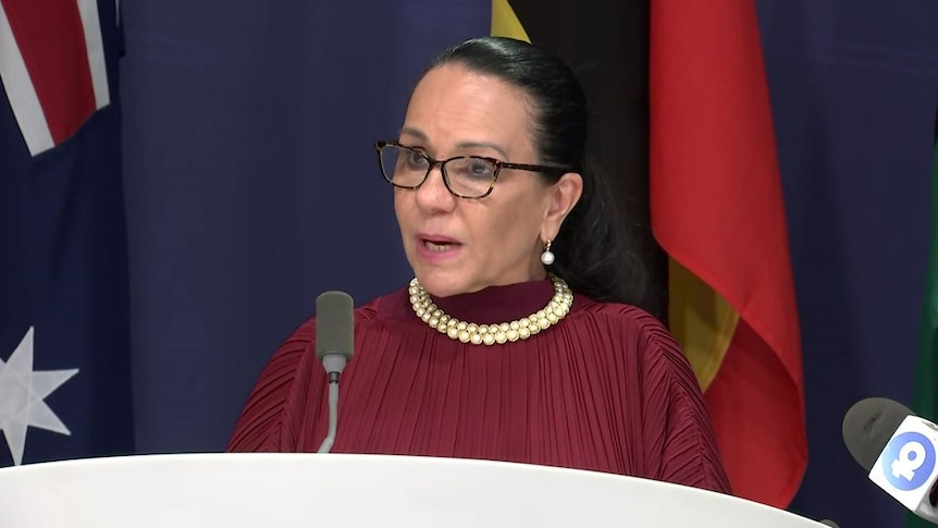 'Walk together to a better future': Linda Burney responds to the Liberal Party's opposition to the Voice