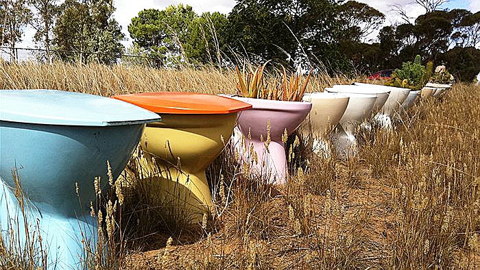 One toilet pan left outside the property has magically turned into many.