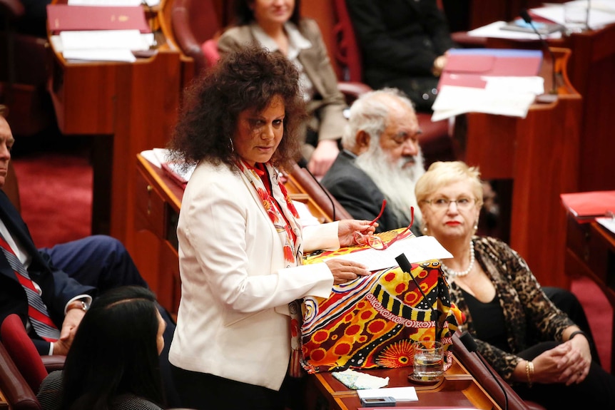 Malarndirri McCarthy's maiden speech