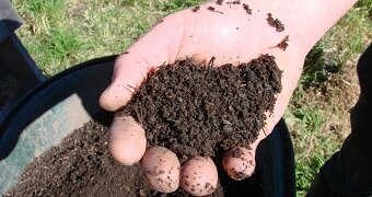A hand holding dirt
