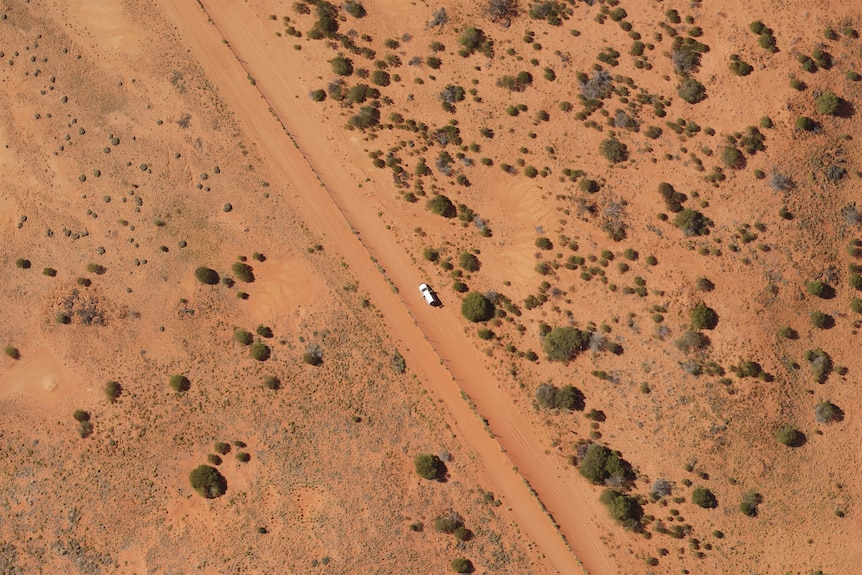 Looking down on the dingo fence showing the sandy landscape either side