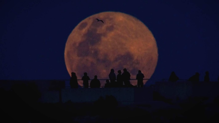 A group of people silhouetted against a full Moon. Bondi Beach, 2015.