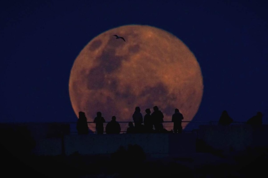 A group of people silhouetted against a full moon, with a bird flying overhead.
