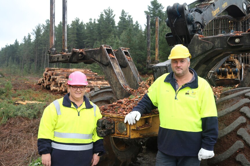 A man and a woman in hard hats stand in front of logging equipment in a pine forest