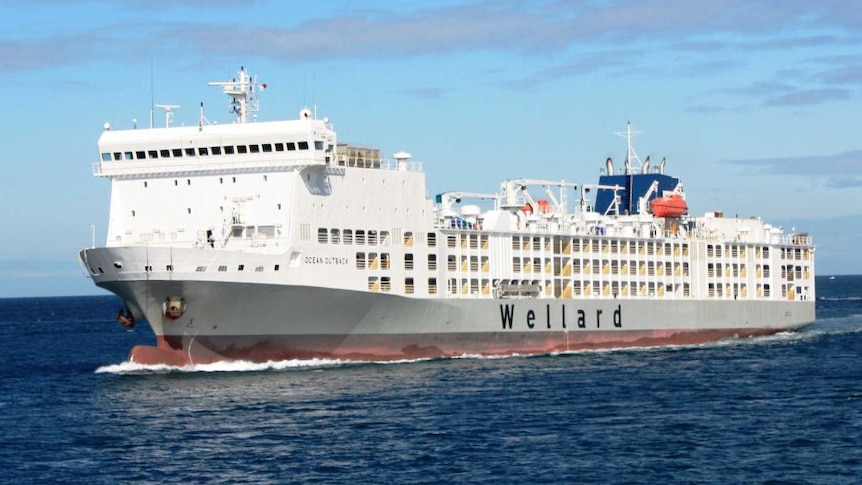 Livestock ship stranded off Perth after engine problems