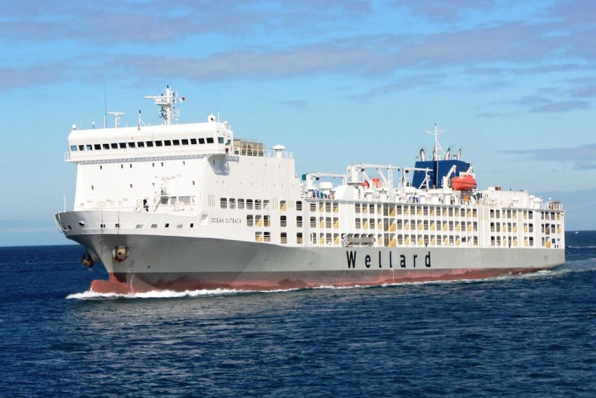 MV Ocean Outback