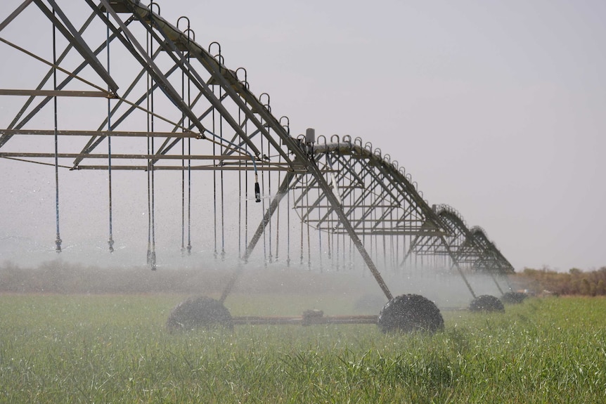 Centre pivots watering fodder