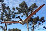 An artist's impression of what the newly discovered pterosaur Ferrodraco lentoni looked like