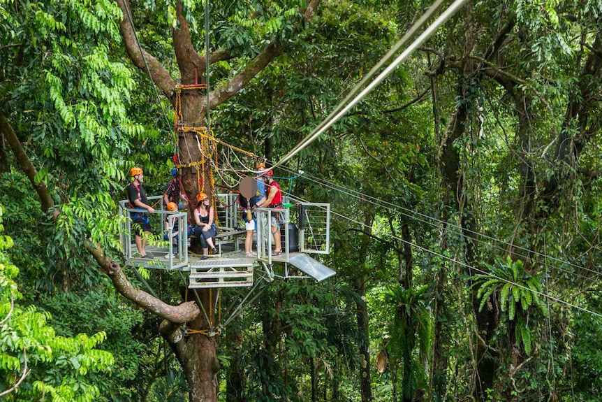 Six people stand on a platform in the trees on a zipline in the Daintree rainforest at Cape Tribulation.