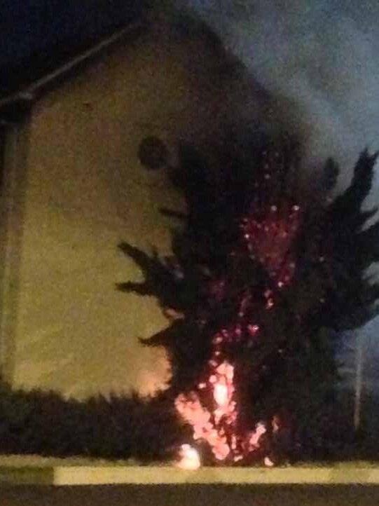 Burning tree outside Hobart office of Ta Ann
