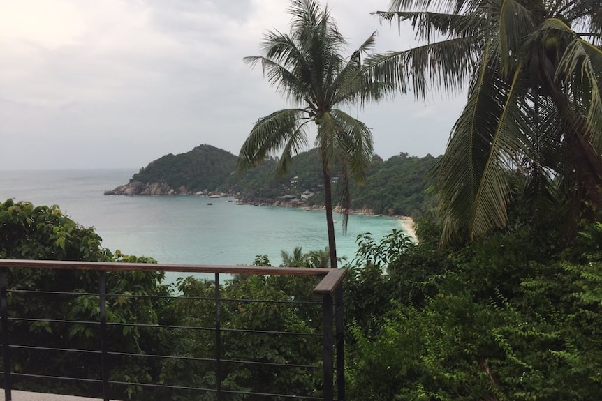 View of Shark Bay from a villa shows palm trees with ominous grey skies in the backdrop and dark sea below.