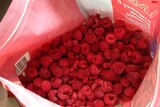 Nanna's raspberries 1kg packet