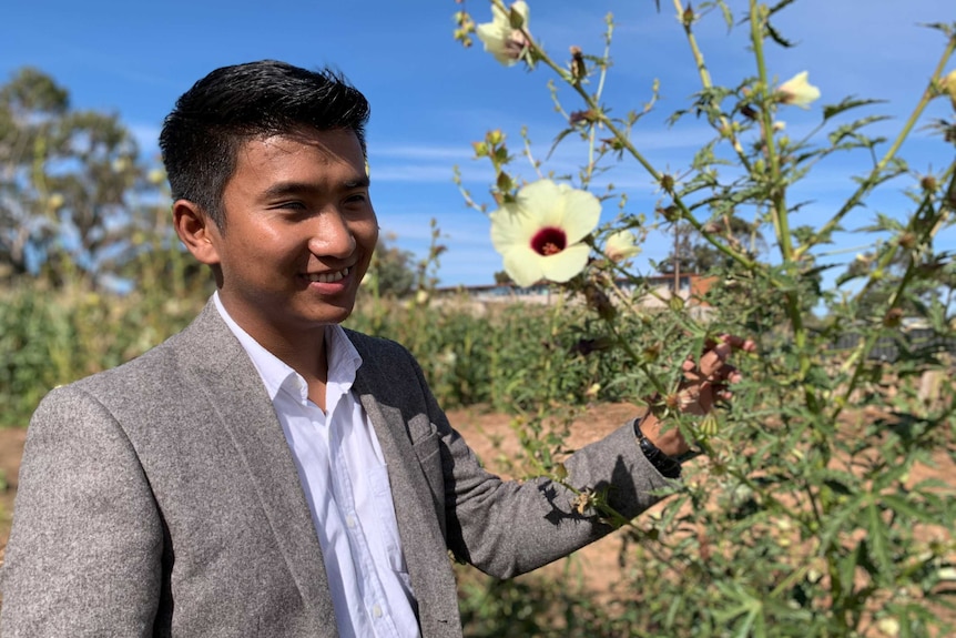 Mang Bawi Cinzah standing next to roselle planted in the community garden