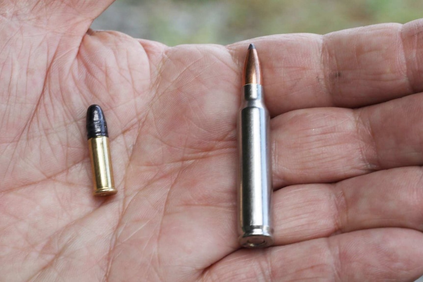 Hand holds .22 calibre round and larger calibre round, for purposes of comparison.
