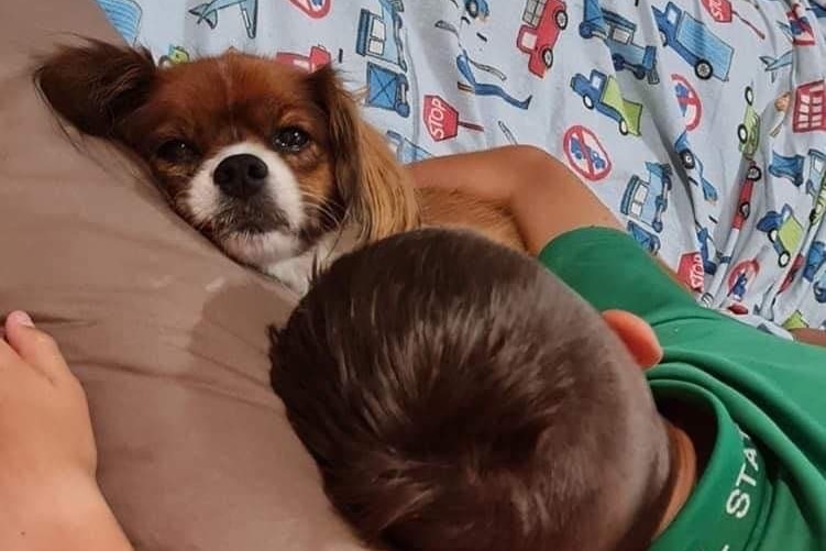 Jayden's brother Tommy lies next to family dog Sissy in bed, both of their heads are on the pillow