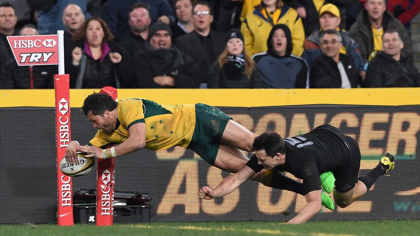 Adam Ashley-Cooper scores a try against the All Blacks