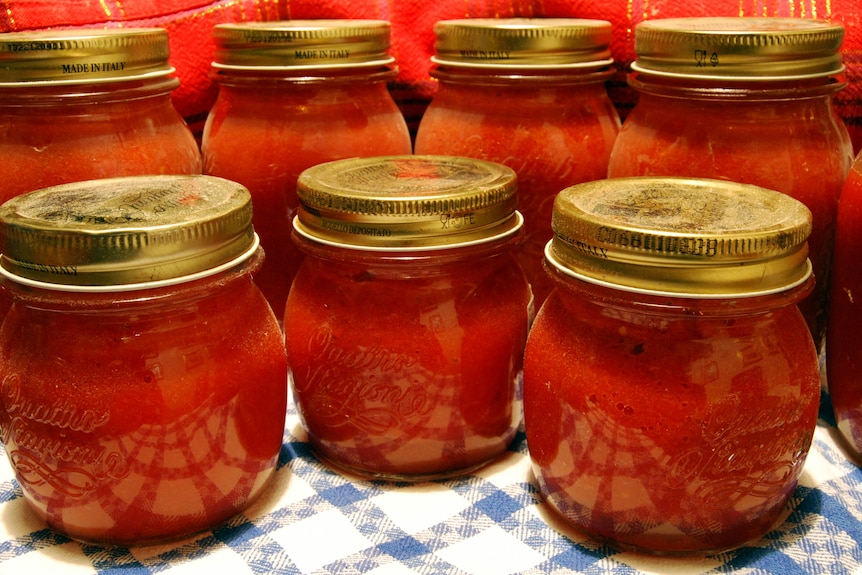 A lineup of glass jars with gold lids filled with red tomato sauce