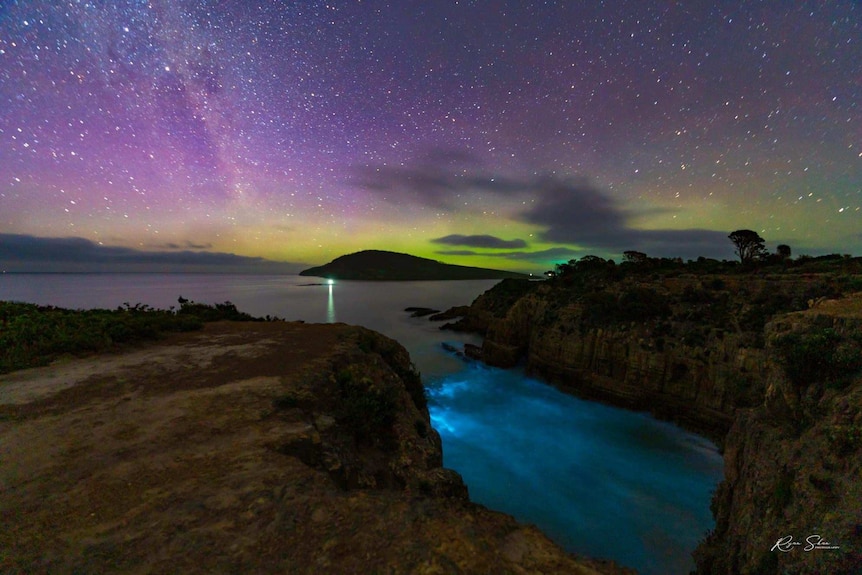 Aurora and bioluminescence at South Arm