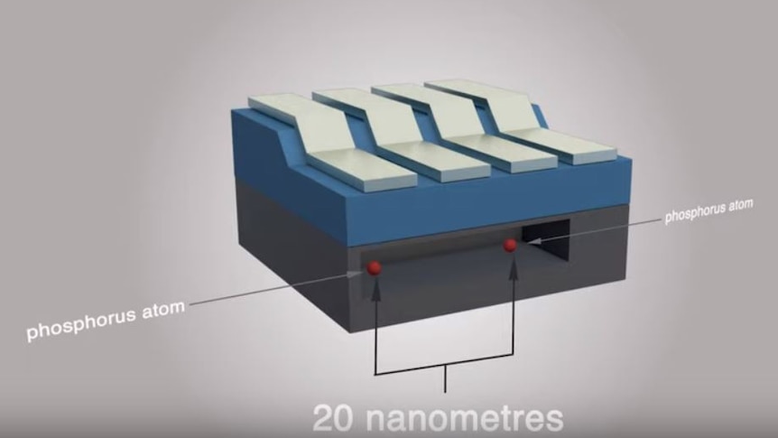 A diagram showing two phosphorus atoms 20 nanometres apart in a compartment of a quantum computer.