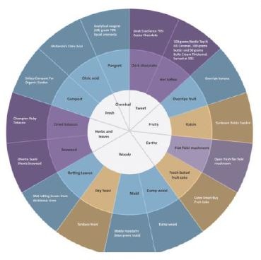 Truffle aroma wheel