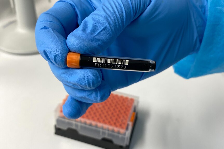 A close up of a small black and orange vial with a barcode on it. 