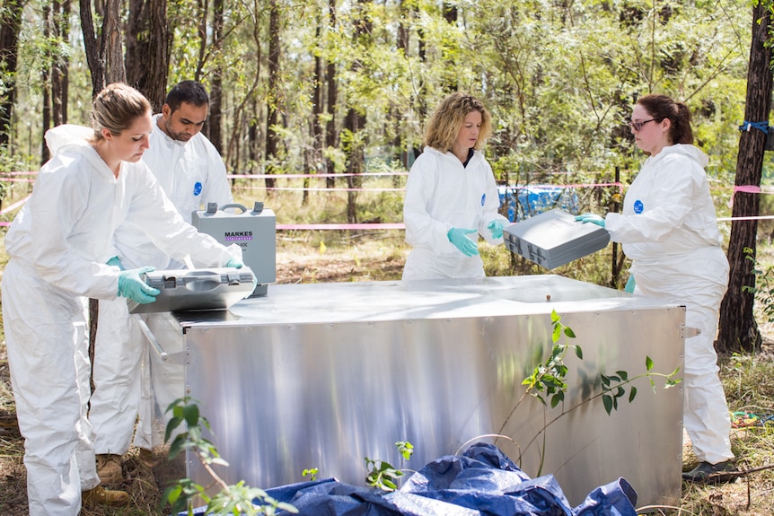 Researchers set up at NSW body farm