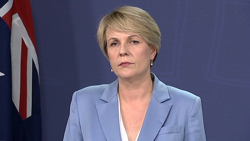 Labor's Tanya Plibersek welcomes royal commission's interim report.
