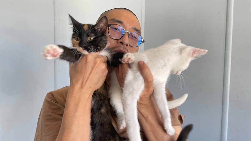 A man with glasses holds two kittens up