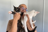 A man with glasses holds two kittens up