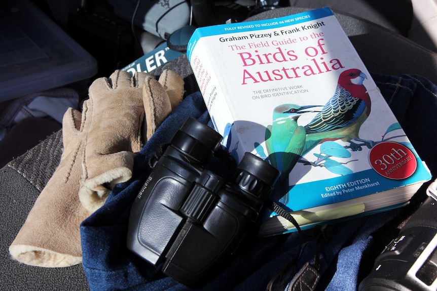 Bird photography book and binoculars