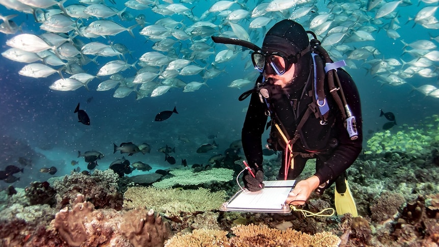 Photograph of a man scuba diving with a school of fish above and coloured seaweed below. He has a clipboard and pencil
