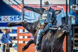 Bull-rider Dave Mawhinney rides a bucking bull in a rodeo arena.
